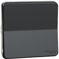 Interrupteur bouton-poussoir Schneider Mureva Styl - IP55 - IK08 - gris anthracite - 10A 250V