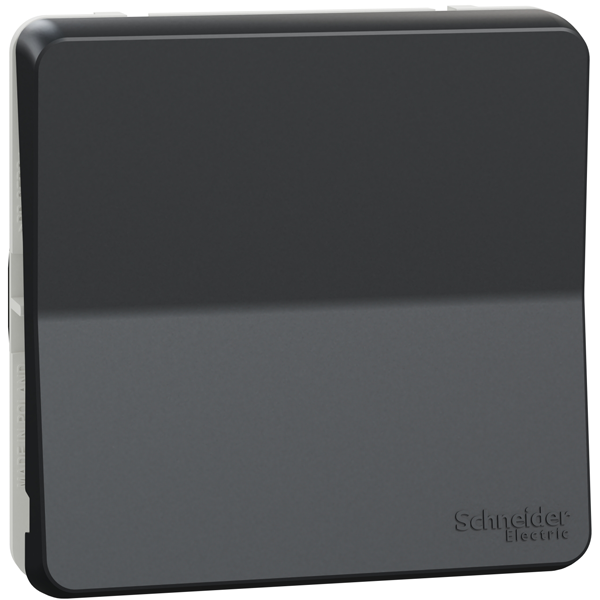 Interrupteur bouton-poussoir Schneider Mureva Styl - IP55 - IK08 - gris anthracite - 10A 250V