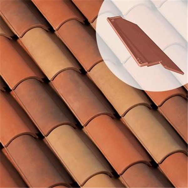 Rive bardelis droite AK040