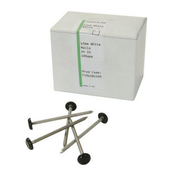 CLOU INOX EMBOUT PLASTIQUE LG.40MM NOIR