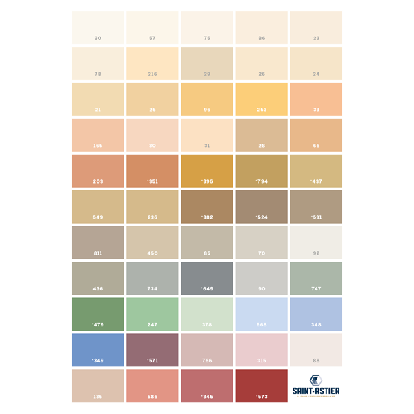 Mortier de finition spécial rénovation Colorchausable Saint-Astier - Teinte 23 - sac de 25,0 KG