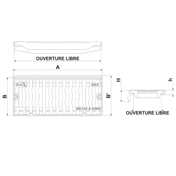 Grille avaloir en fonte avec cadre renforcé C250 PMR - 768 x 320 mm - ouverture libre 750 x 245 mm