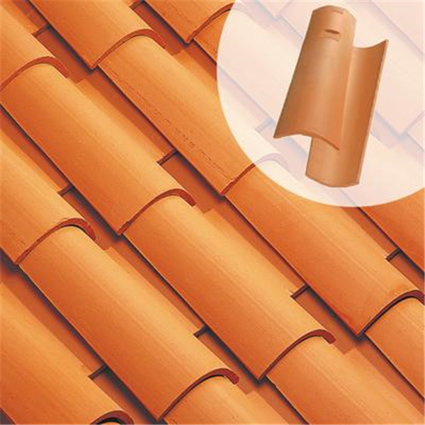 Tuile Canal Gironde à tenon