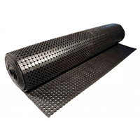 Caillebotis MR12BB caoutchouc noir - norme handicapé avec bords biseautés - 90 x 150 cm