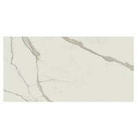 Carrelage intérieur en grès cérame émaillé effet pierre Exigo - 60,0 cm x 30,0 cm - ép. 8,00 mm - Calacatta