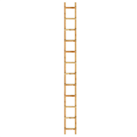 Échelle de couvreur en bois lasuré - 16 échelons - longueur 4 mètres - entraxe de marches de 25 cm