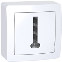 Prise de téléphone en T avec cadre en saillie Schneider Alréa - blanc polaire - 8 contacts