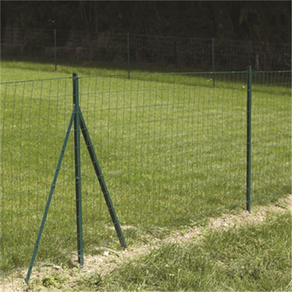 Poteau TE pour clôture en rouleau - Dirickx - Section 30x30x3 MM - Hauteur 2 M Vert