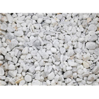 CARRARA LIVORNO 8/16 RONDO