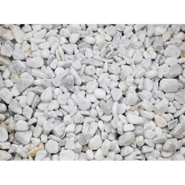 CARRARA LIVORNO 8/16 RONDO