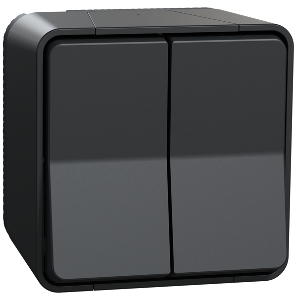 Interrupteur double va-et-vient en saillie Schneider Mureva Styl complet - IP55 - IK08 - anthracite - 10AX 250V