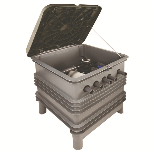 Local Technique Ramses Ii (Ast