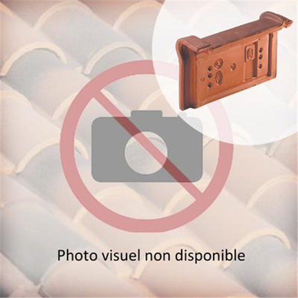 Tuile de rive universelle réf.1050