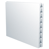 Carreau de plâtre alvéolé Placo Caroplatre Standard - 66,0 CM x 50,5 CM - ép. 70,0 MM