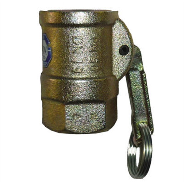 Raccord femelle Ø25 taraude 1"