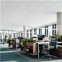 Dalle de plafond acoustique minérale - Topiq Alpha 20 - Bords A (droits) - 60,0 CM x 60,0 CM - ép. 20,00 MM