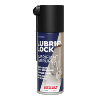 Lubrifiant pour serrure sans huile ni graisse - Lubrif'Lock Aexalt - aérosol 125 ml