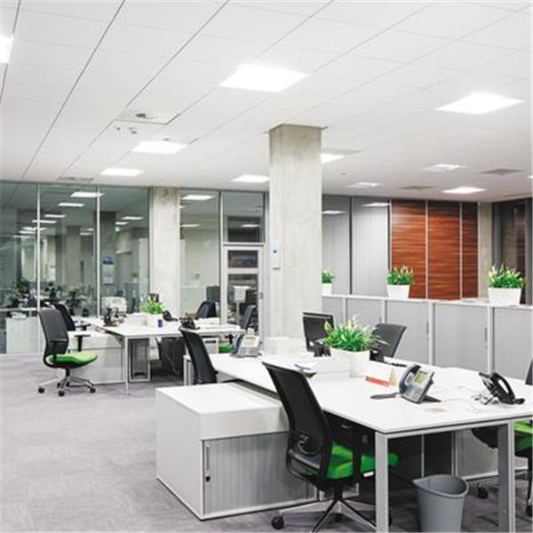 Dalle de plafond suspendu FOCUS DG