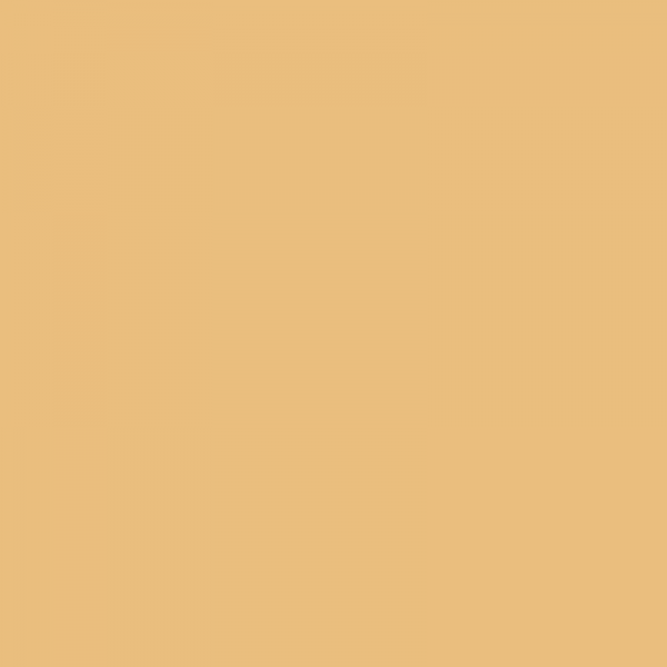 Peinture de protection Sikagard pour toiture inclinée couleur jaune sable 1 litre