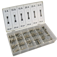 Assortiment de 120 fusibles en verre 6 x30 mm (5-10-15-20-25-30 ampères)