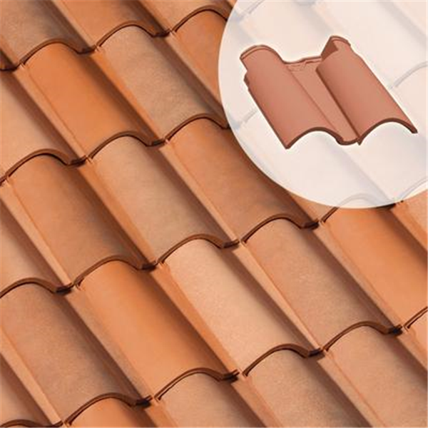 Double tuile Feriane - SO010