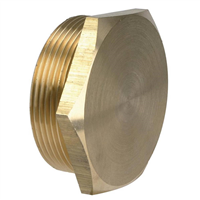 BOUCHON FILETE M 1''