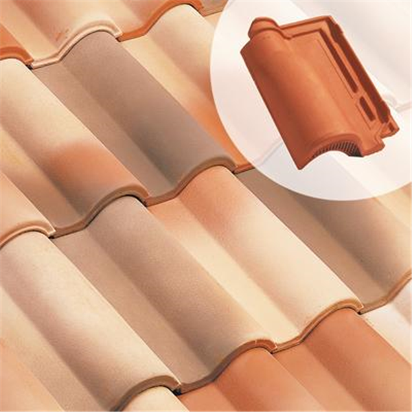 Tuile chatière en terre cuite - Romane Sans - section 21 cm² - Terroir