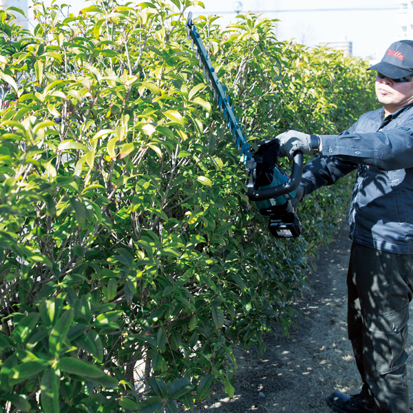 Taille haie DUH602Z Makita 18V Li-Ion 60 cm - produit seul