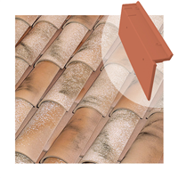 Tuile de rive à rabat universelle Tejas Borja - côté gauche du toit - coloris Nature Lamalou - 470 MM x 90 MM