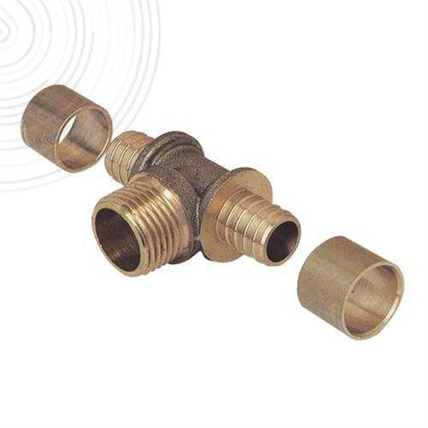 Te sortie male 12-1/2