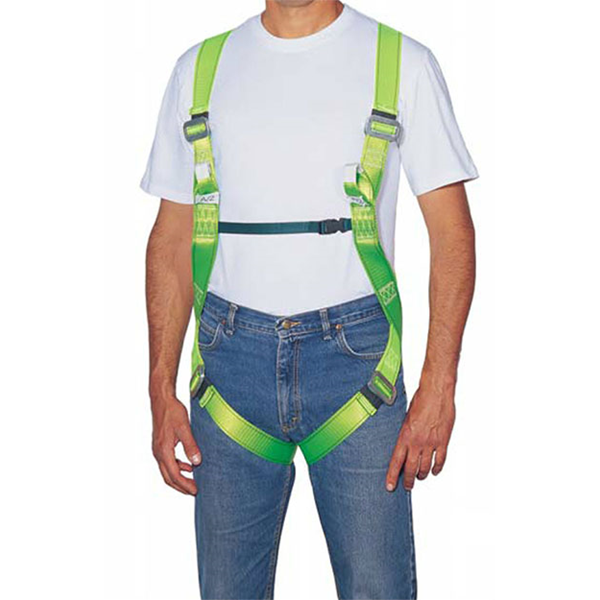 Kit harnais antichute Sistema 1 harnais 1 absorbeur d'énergie longueur 2 mètres 2 mousquetons