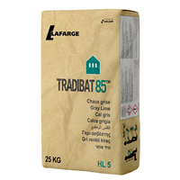 Chaux grise HL5 pour enduits maçonneries et couvertures - Tradibat 85 - sac de 25,0 KG