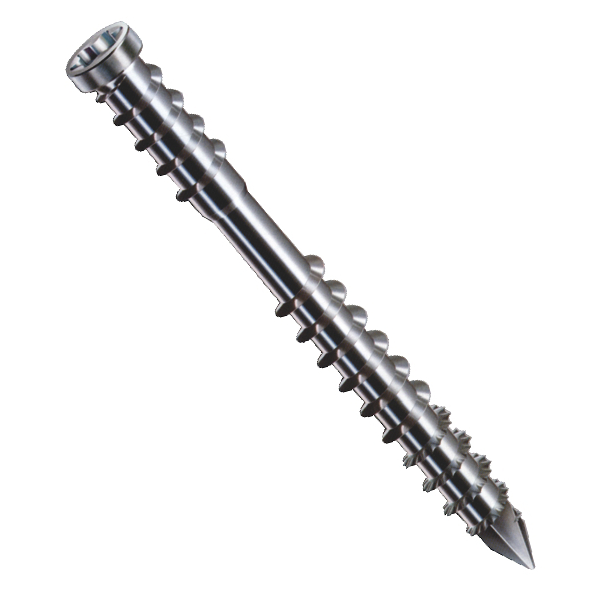 Vis de terrasse Torx T25 - filetage de fixation tête cylindrique en inox A4 - 6x60mm - Boîte de 100