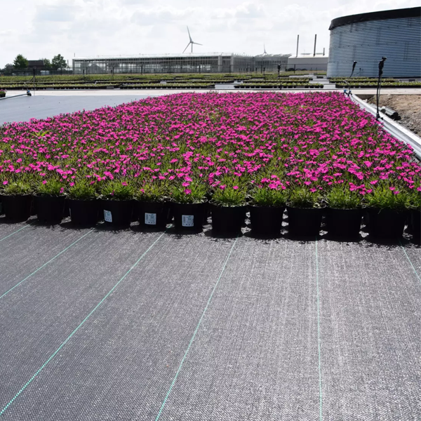 Toile de paillage 130g/m² Verte - Rouleau de 1,05 M x 100,00 M - Edia