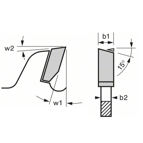 Lame de scie circulaire bois Bosch Expert for Wood 160 x 20 x 2,2 mm 24 dents