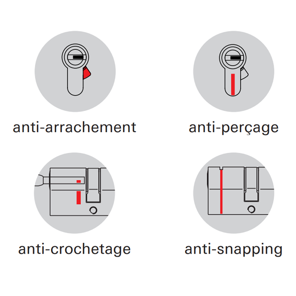 Cylindre haute sûreté Thirard Transit 1 - profil européen - nickel velours - 5 clés variées - 30 x 35 mm