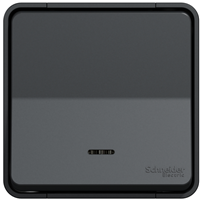 Interrupteur va-et-vient lumineux en saillie Schneider Mureva Styl complet - IP55 - IK08 - anthracite - 10AX 250V