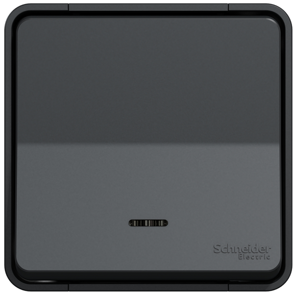 Interrupteur va-et-vient lumineux en saillie Schneider Mureva Styl complet - IP55 - IK08 - anthracite - 10AX 250V