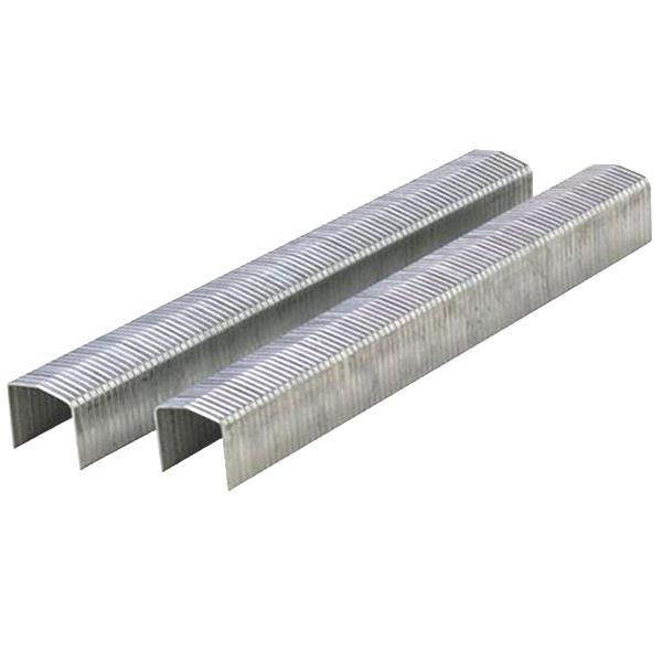 Agrafe galvanisée à pointes biseautées Bostitch STCR5019 - couronne 11 mm - longueur 6 mm - boîte de 5000