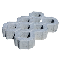 Pavé drainant parking "Dalparking" à combler en béton - 50 x 33 x 9 cm - Ventoux