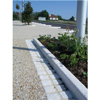 BORDURE ANTIN P1       20X8X100