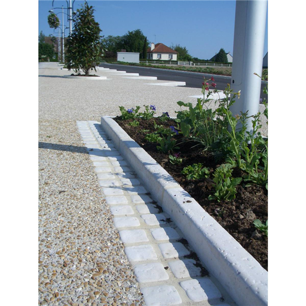 BORDURE ANTIN P1       20X8X100