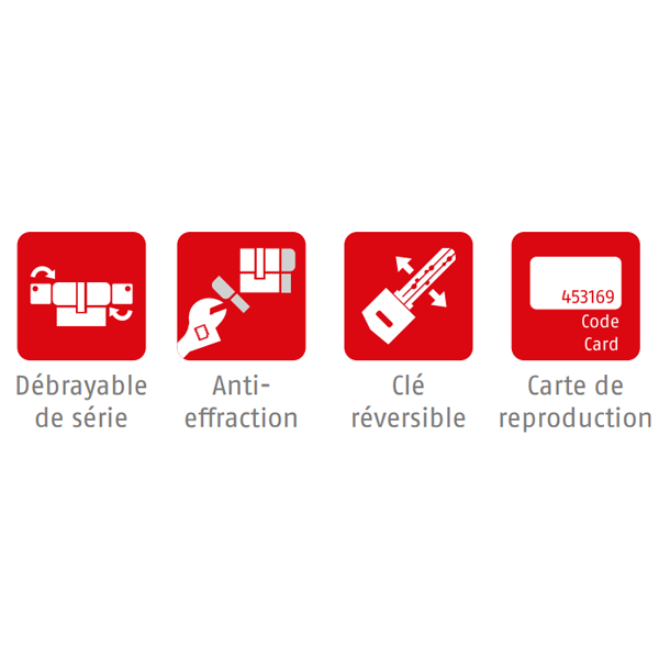 Cylindre haute sécurité Abus D66 à 6 goupilles pour serrure à profil européen - 5 clés - 40 x 50 mm