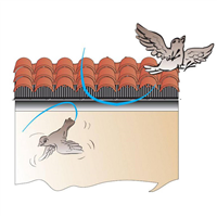 PIC PROCTECT.OISEAUX 500X110X80