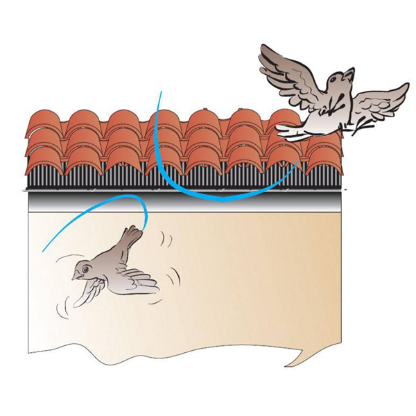 PIC PROCTECT.OISEAUX 500X110X80