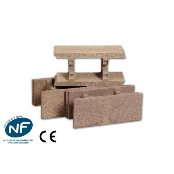 BLOC COFFRANT 25X20X50