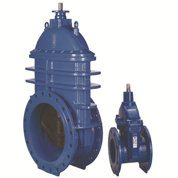 VANNE 06/30 FSH DN 40 PN10/16