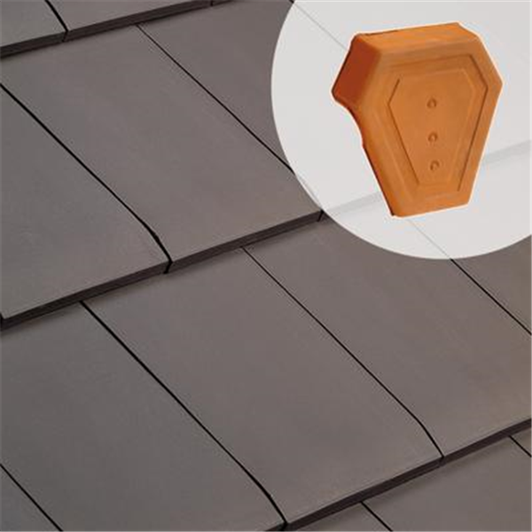 Fronton de rive universelle 1080