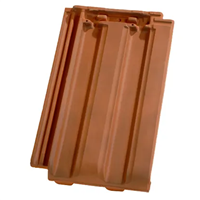 Tuile à emboîtement grand moule faiblement galbée - PV 13 Huguenot - Flammé rustique