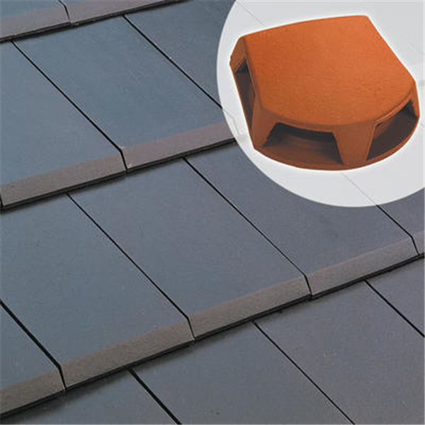 Lanterne bi-section 1007 pour toiture - Ø 126/160 mm - section aération 259 cm²  - Ardoise (St Foy)